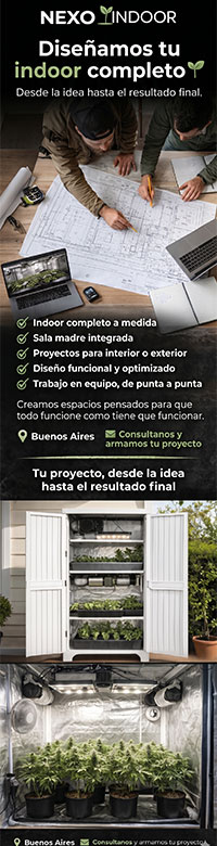 NEXA